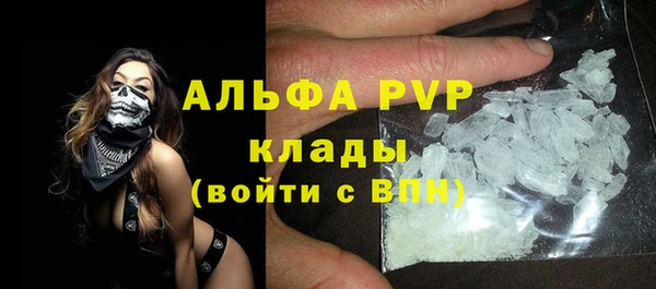 спиды Новозыбков